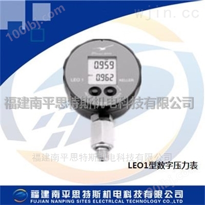 仪器仪表LEO1型数字压力表