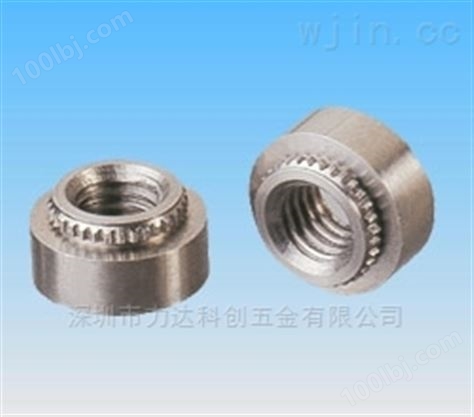供应不锈钢圆头压铆螺母CLS-0420-1