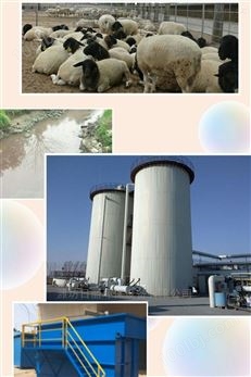 甘肃省肉羊养殖污水处理设备RL-UASB反应器