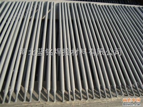A502 E16-25MoN-16不锈钢焊条 *